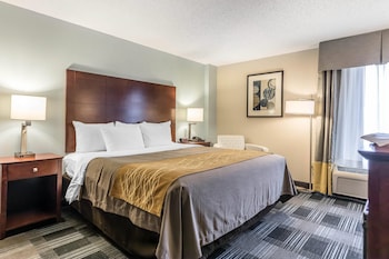 Standard Room, 1 King Bed, Jacuzzi, Non Smoking