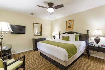 Room, 1 King Bed, Mountainside