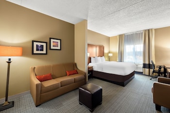 Suite, 1 King Bed with Sofa bed, Non Smoking (Upgrade)