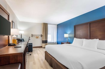 Room, 1 King Bed, Accessible, Non Smoking