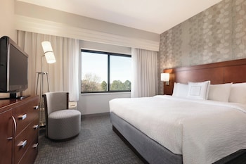 Room, 1 King Bed with Sofa bed (Mobility Accessible, Roll-In Shower)