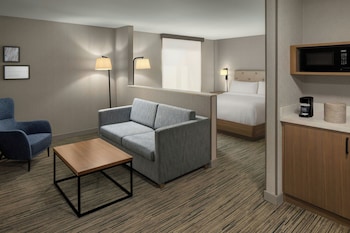 Studio, 1 King Bed with Sofa bed, Hearing Accessible (Mobility Accessible with Bathtub)