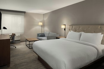 Room, 1 King Bed with Sofa bed, Hearing Accessible (Roll-in Shower)