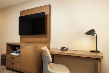 Room, 1 King Bed with Sofa bed