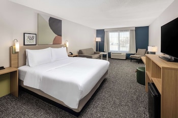 Room, 1 King Bed