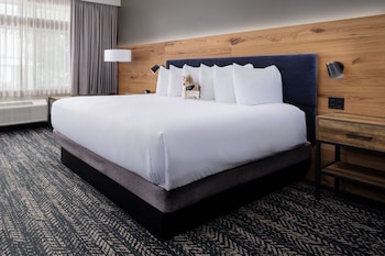 Room, 1 King Bed