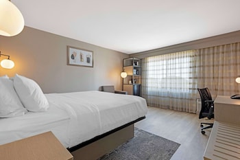 Standard Room, 1 King Bed, Non Smoking, Refrigerator & Microwave