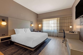 Standard Room, 1 King Bed, Accessible, Refrigerator & Microwave