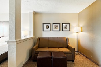 Room, 1 King Bed, Accessible, Non Smoking