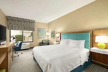 Room, 1 King Bed, Accessible, Non Smoking