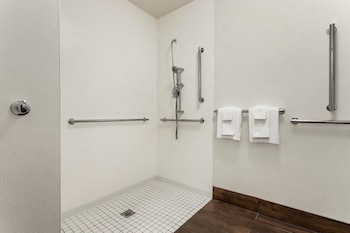 Room, 1 King Bed, Bathtub