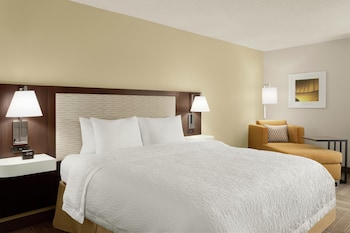 Room, 1 King Bed with Sofa bed, Bathtub