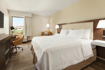 Room, 1 King Bed, Accessible, Bathtub (Roll-In Shower, Mobility & Hearing)