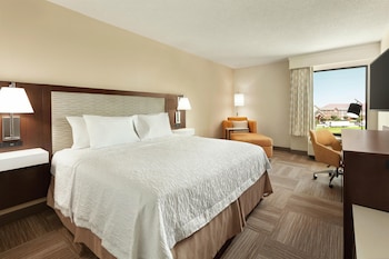 Room, 1 King Bed, Bathtub