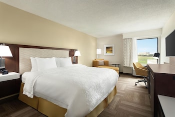 Room, 1 King Bed with Sofa bed, Bathtub