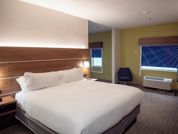 Suite, 1 King Bed with Sofa bed