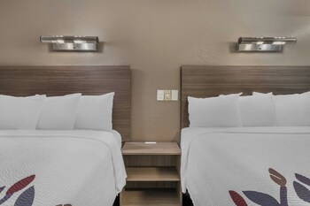 Deluxe Room, 2 Queen Beds, Accessible, Smoking (Roll-In Shower)