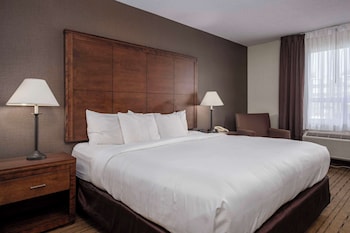 Standard King Non Smoking Superior Room