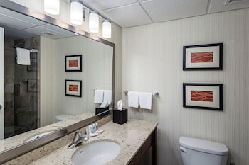 Standard King Non Smoking Superior Room