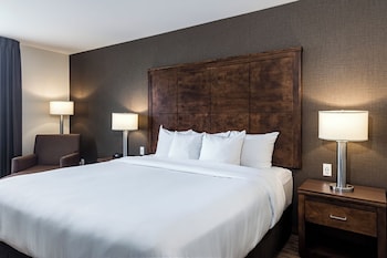 Standard King Non Smoking Superior Room