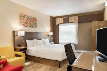 Room, 1 King Bed, Non Smoking