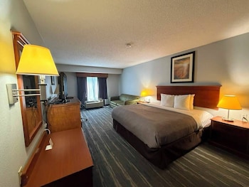 Room, 1 King Bed, Non Smoking