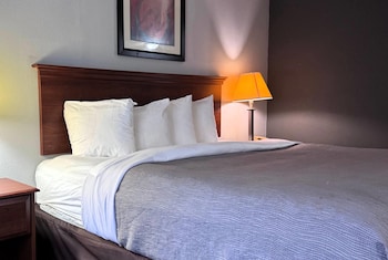 Room, 1 King Bed, Non Smoking