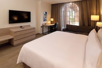 Suite, 1 King Bed