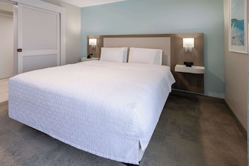 Suite, 1 King Bed with Sofa bed