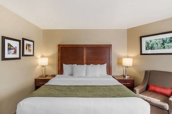 Suite, 1 King Bed with Sofa bed, Non Smoking, Mountain View