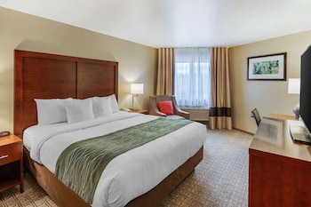 Room, 1 King Bed, Accessible, Non Smoking