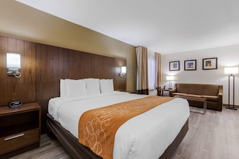 Suite, 1 King Bed with Sofa bed, Accessible, Non Smoking