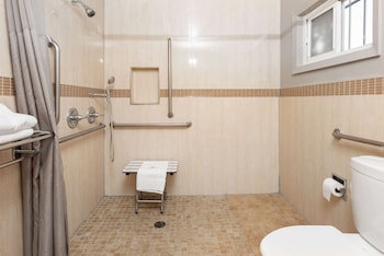 Standard Room, 1 King Bed, Accessible, Non Smoking