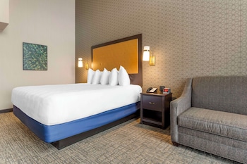 Standard Room, 1 King Bed, Non Smoking, Refrigerator & Microwave