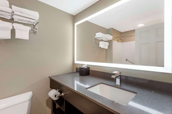 Executive Room, 1 King Bed, Refrigerator & Microwave, Pool View