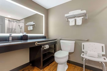 Standard Room, 1 King Bed, Accessible, Bathtub (1st Floor)