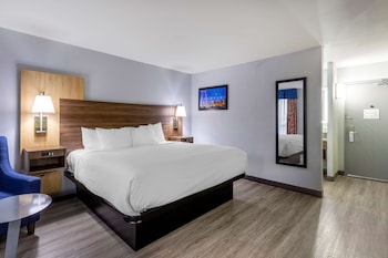Standard Room, 1 King Bed, Non Smoking, Refrigerator & Microwave (Larger Room)