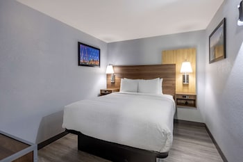 Suite, 1 Queen Bed, Non Smoking, Refrigerator & Microwave