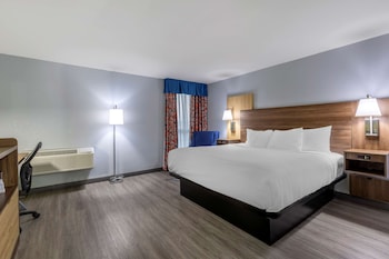 Standard Room, 1 King Bed, Non Smoking, Refrigerator & Microwave (Larger Room)