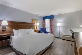 Standard Room, 1 King Bed, Accessible, Bathtub