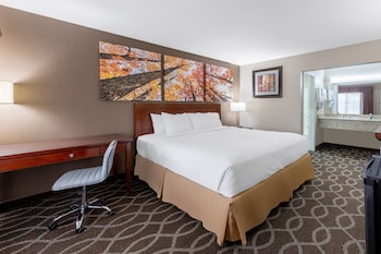 Room, 1 King Bed, Non Smoking, Refrigerator
