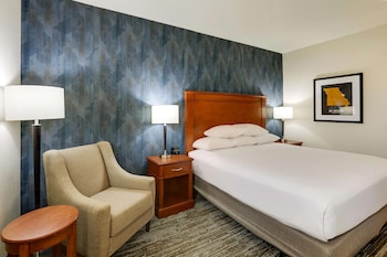Room, 1 King Bed, Accessible (Roll in Shower)