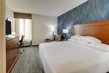 Room, 1 King Bed, Accessible (Roll in Shower)
