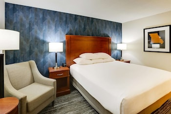 Room, 1 King Bed