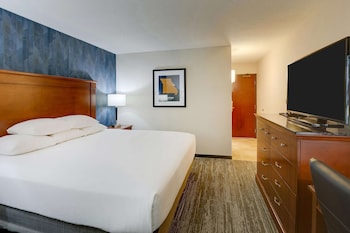 Room, 1 King Bed