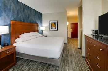 Room, 1 King Bed, Accessible (Roll in Shower)