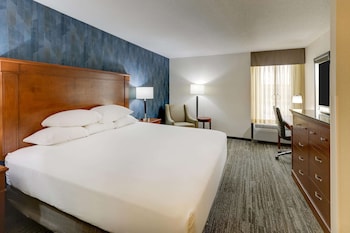 Room, 1 King Bed, Accessible (Upper Floor, Tub)