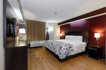 Superior Room, 1 King Bed, Non Smoking