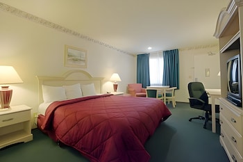 Room, 1 King Bed, Accessible, Non Smoking (Mobility)