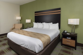 Room, 1 King Bed, Non Smoking